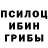 Псилоцибиновые грибы Psilocybine cubensis Carmelo inspiration