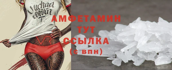 стафф Новодвинск