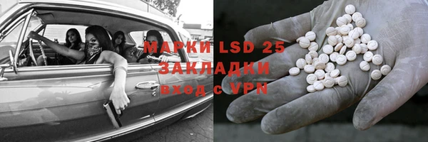 стафф Новодвинск