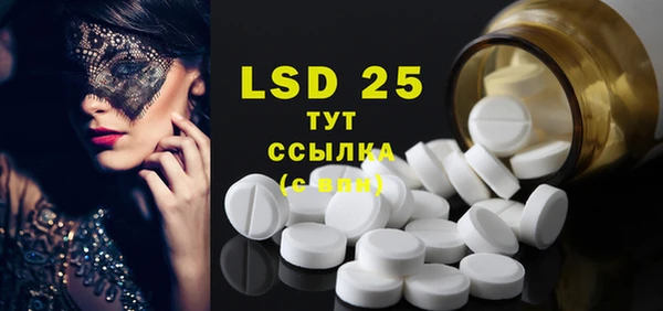 стафф Новодвинск