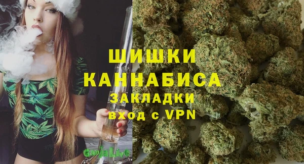 стафф Новодвинск