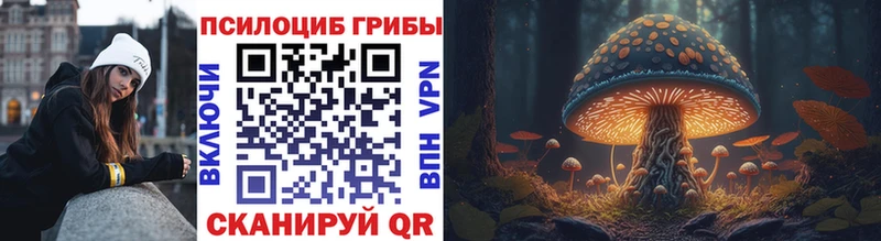 закладки  Осташков  Галлюциногенные грибы Cubensis 